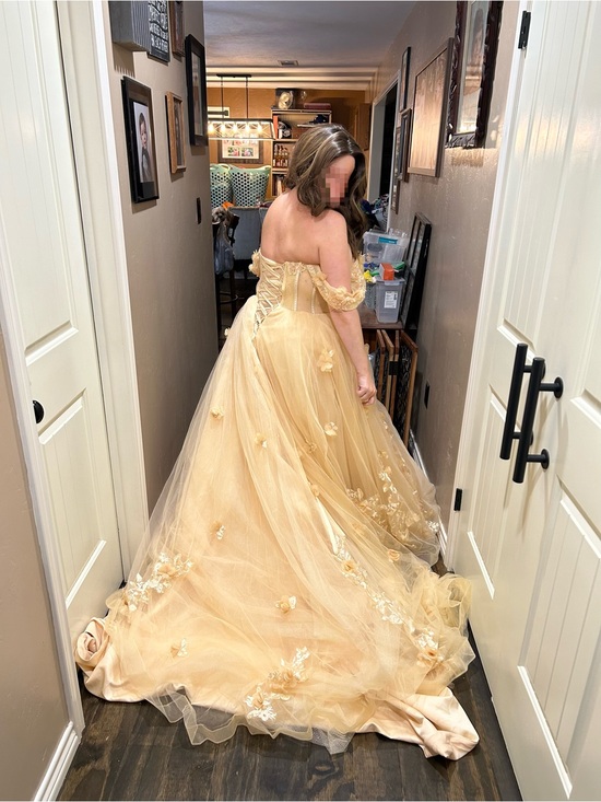 Dresses & Skirts - Champagne Tulle Ball Gown with Floral Appliqués